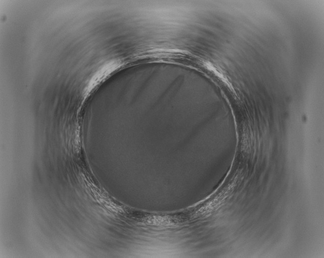 X0000087021362200704301304