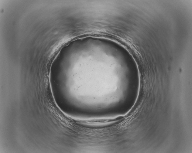 X0000087021363200704301304