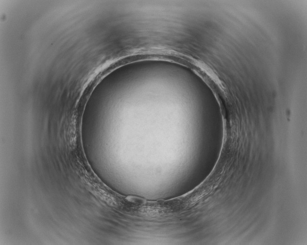 X0000087021364200704301304