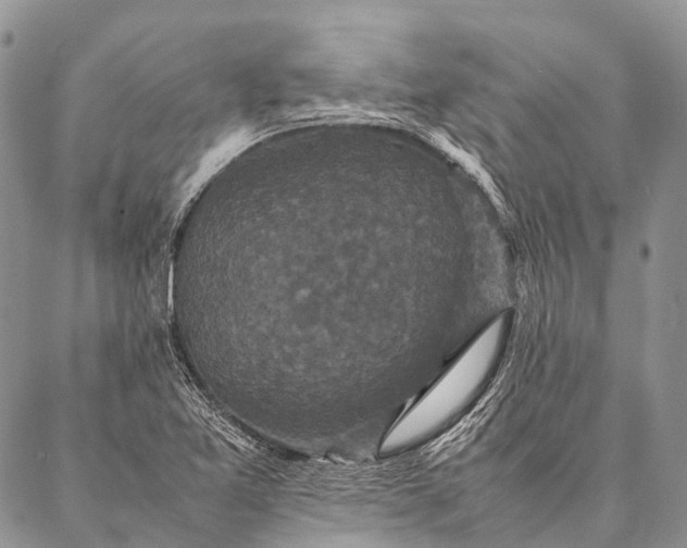 X0000087021365200704301304