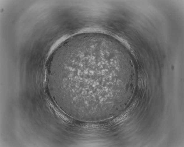 X0000087021366200704301303