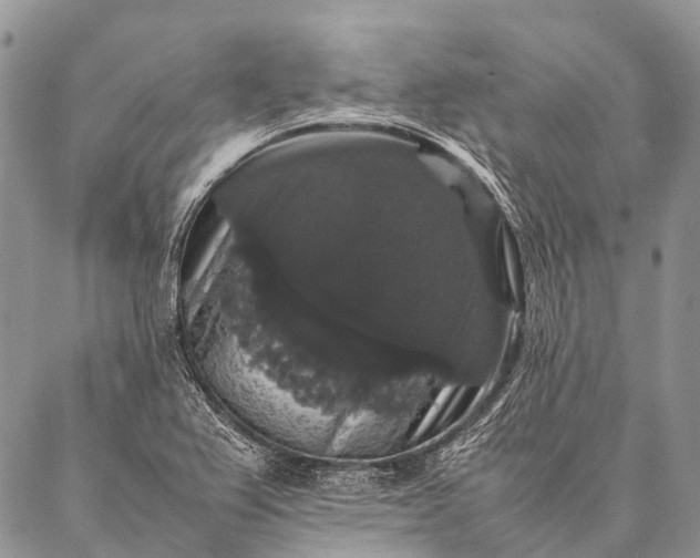 X0000087021367200704301303