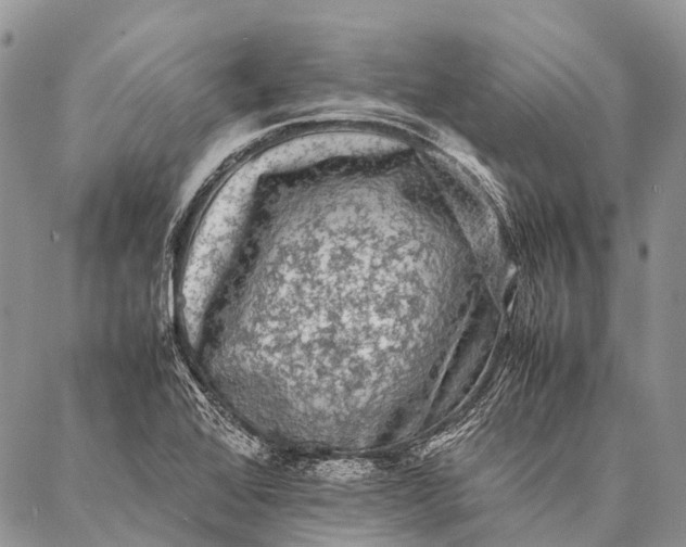 X0000087021368200704301303