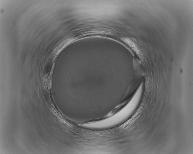 X0000087021369200704301303