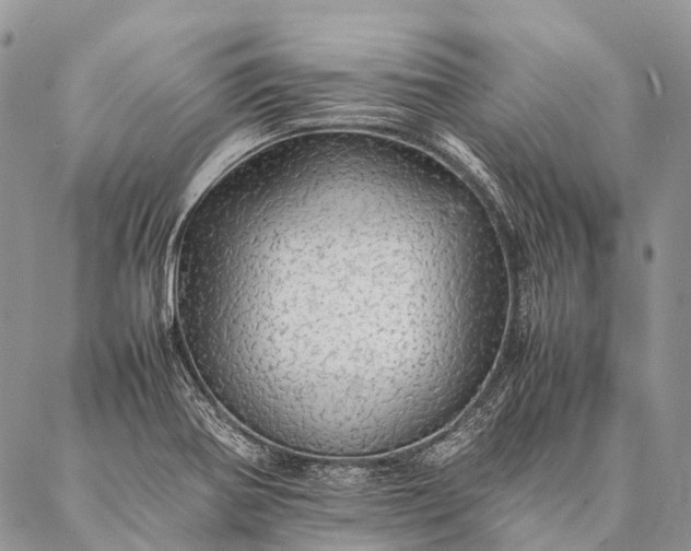 X0000087021370200704301303