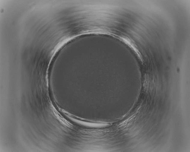 X0000087021372200704301303