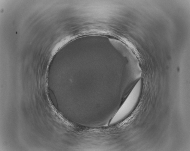 X0000087021373200704301303