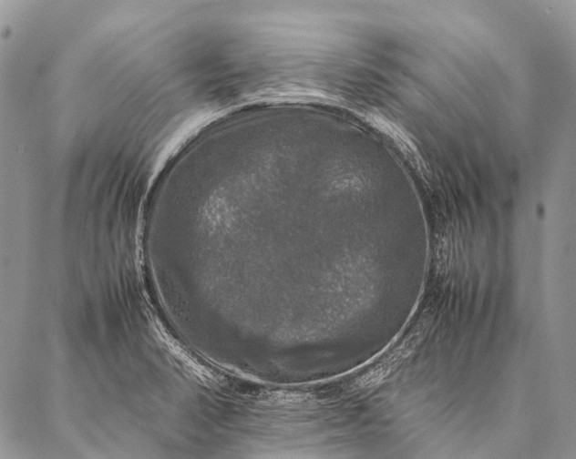 X0000087021374200704301303