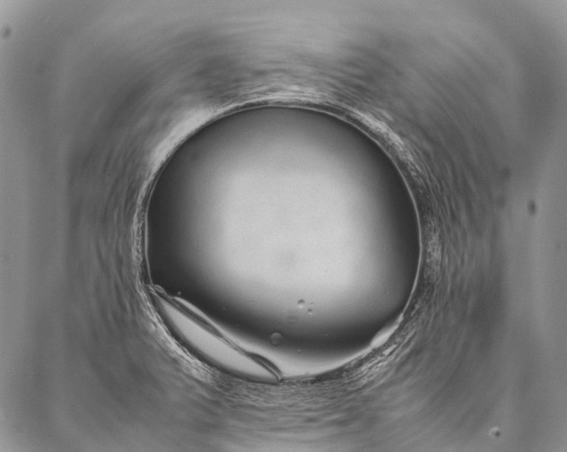 X0000087021375200704301303