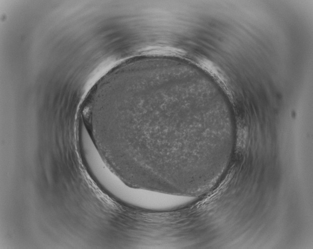 X0000087021376200704301303