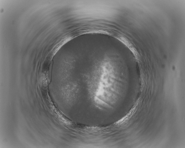 X0000087021377200704301303