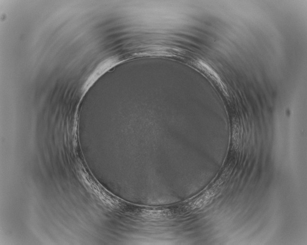 X0000087021378200704301303