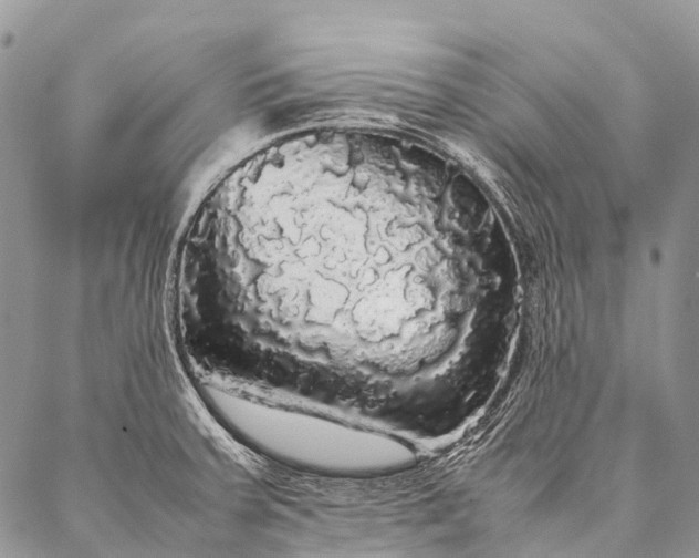 X0000087021379200704301303