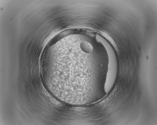 X0000087021380200704301303