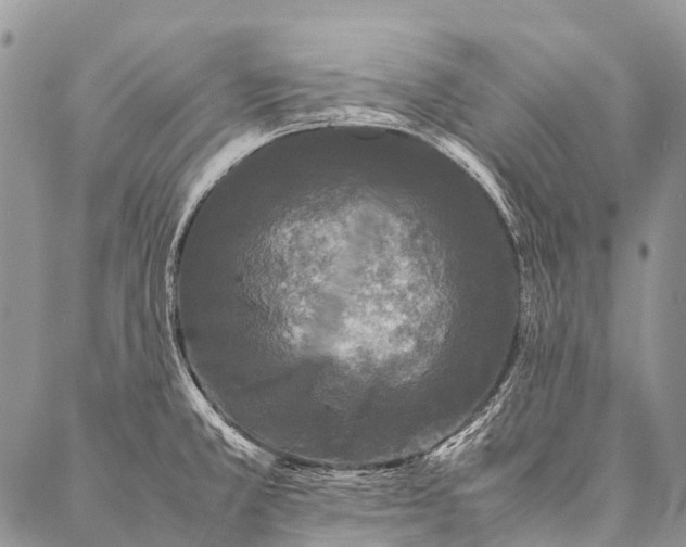 X0000087021381200704301303