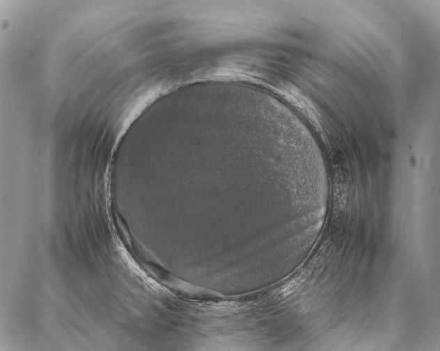 X0000087021382200704301303