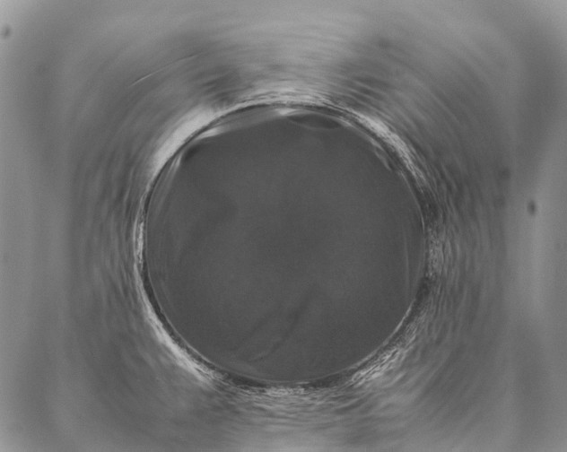 X0000087021383200704301303