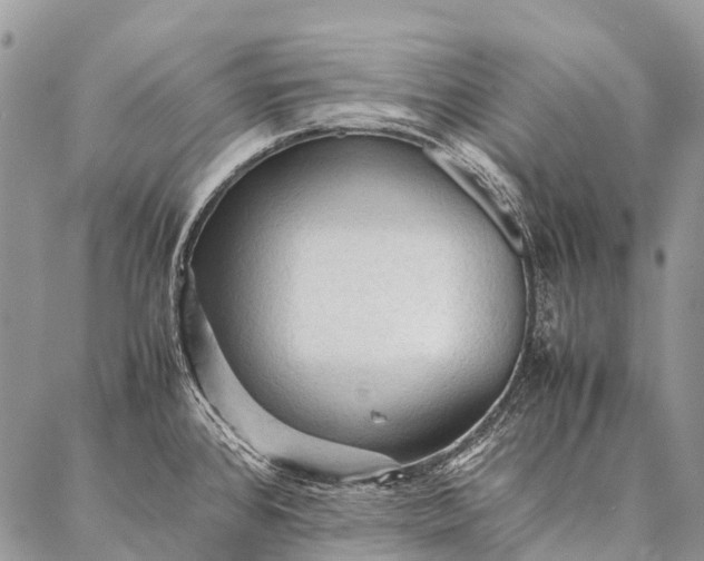 X0000087021384200704301303