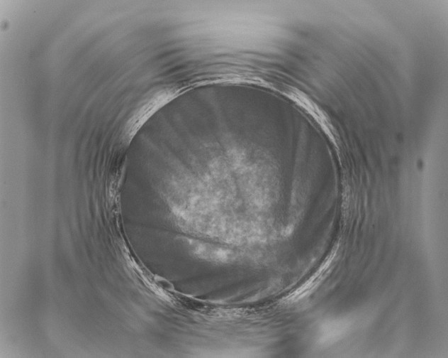 X0000087021385200704301303