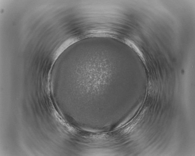 X0000087021386200704301303