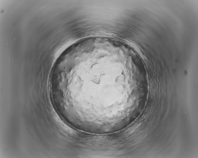 X0000087021387200704301303