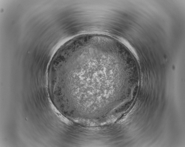 X0000087021388200704301303