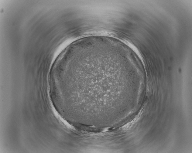 X0000087021389200704301303