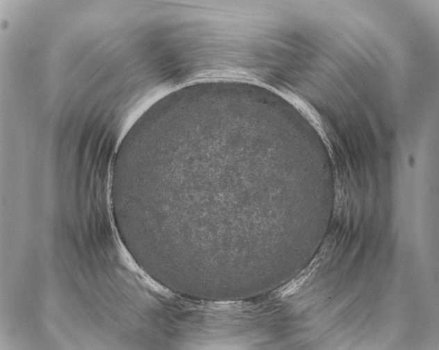 X0000087021390200704301303