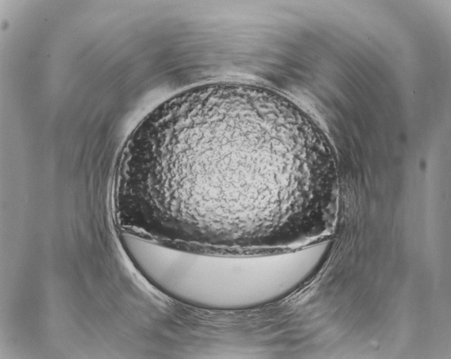 X0000087021391200704301303