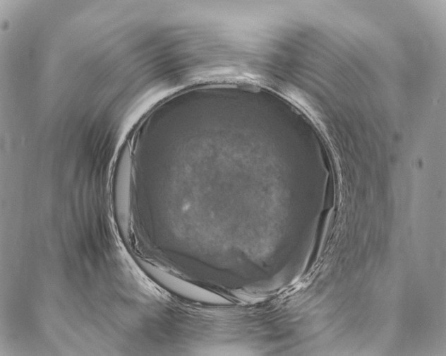 X0000087021392200704301303