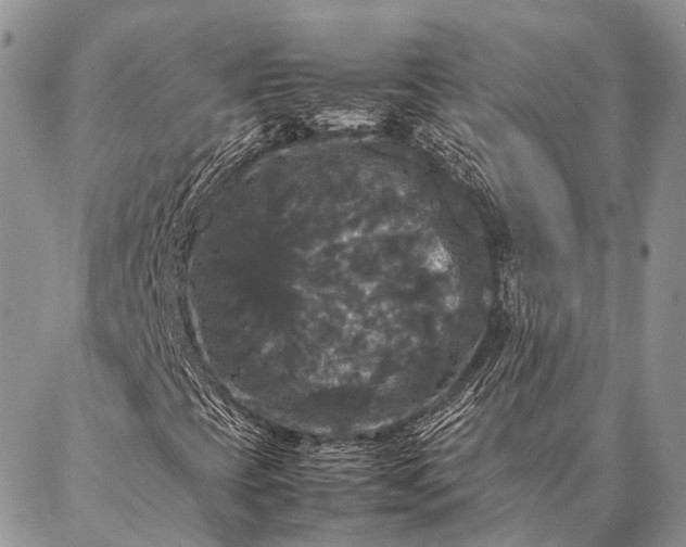 X0000087021393200704301302