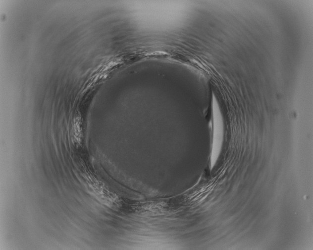 X0000087021394200704301302