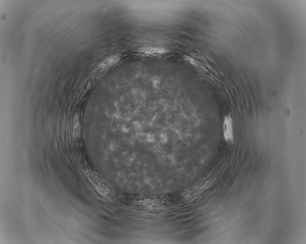 X0000087021395200704301302