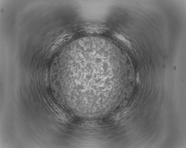 X0000087021396200704301302