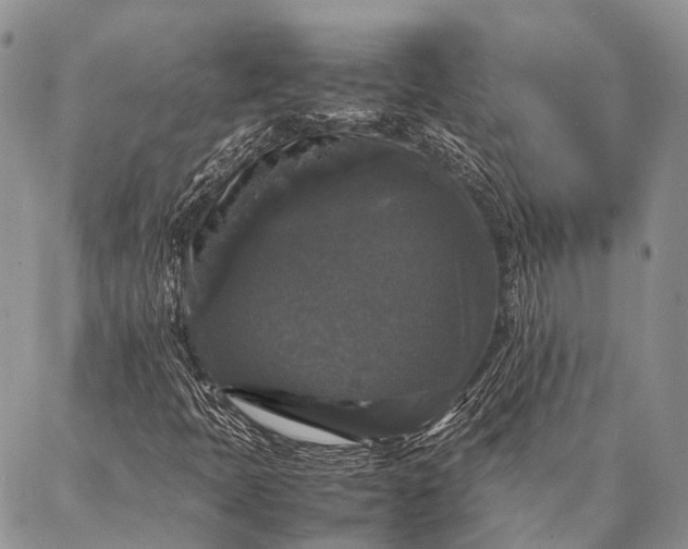 X0000087021397200704301302