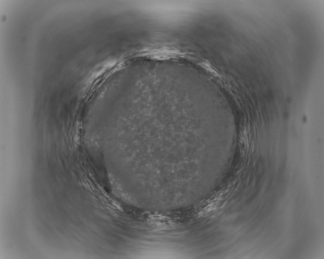 X0000087021398200704301302