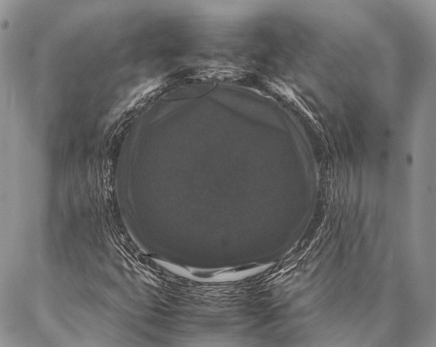 X0000087021399200704301302