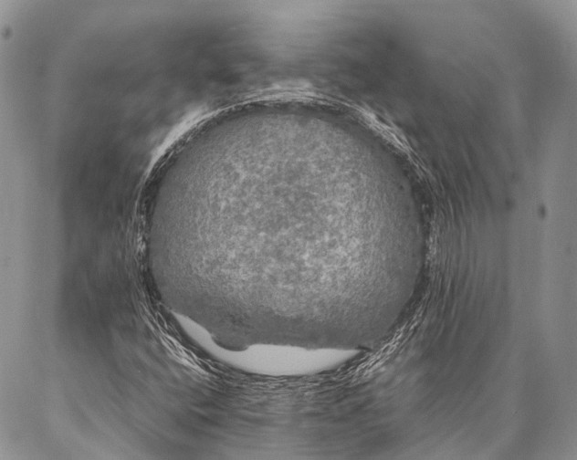 X0000087021400200704301302