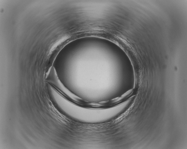 X0000087021402200704301302