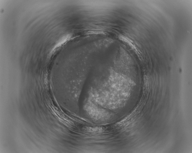 X0000087021403200704301302