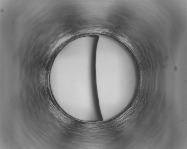 X0000087021404200704301302