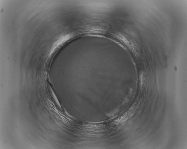 X0000087021405200704301302