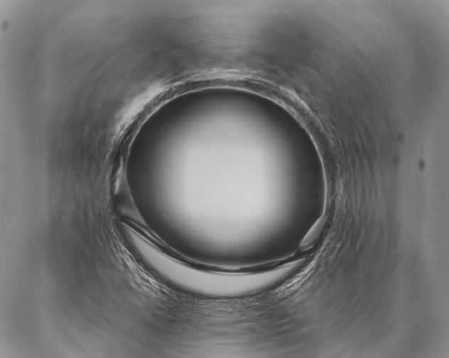 X0000087021406200704301303