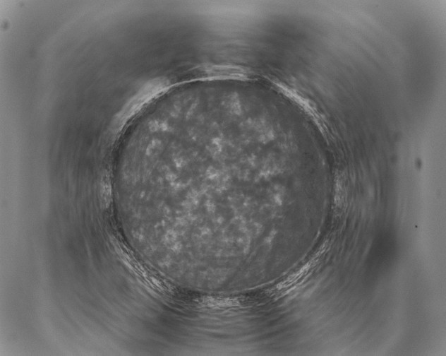 X0000087021407200704301303