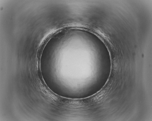 X0000087021408200704301303