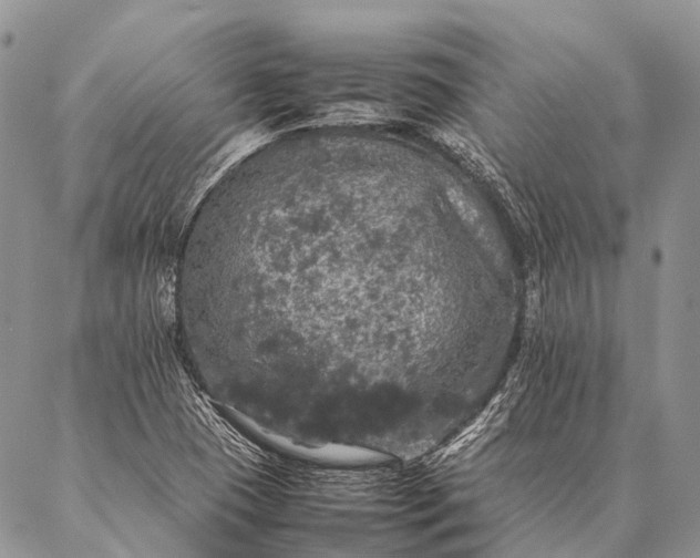 X0000087021409200704301303