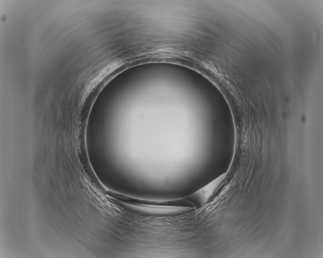 X0000087021410200704301303