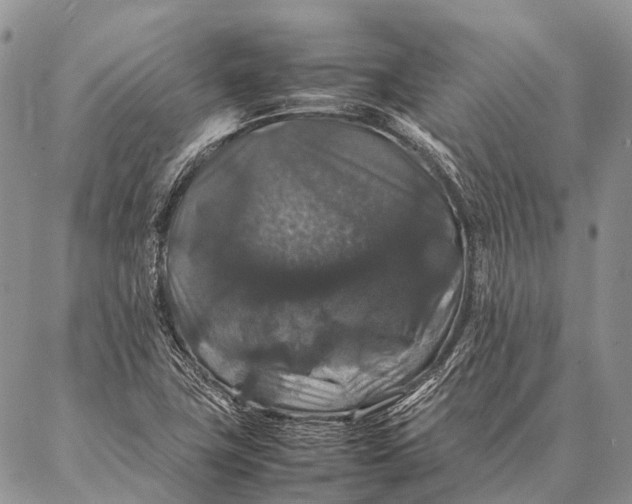 X0000087021411200704301303