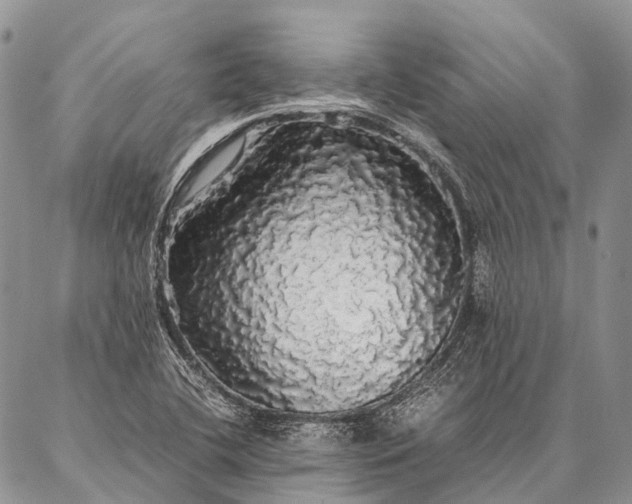 X0000087021412200704301303