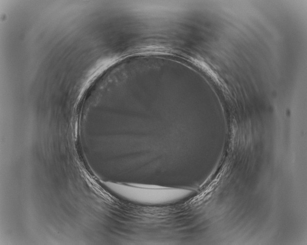 X0000087021413200704301303